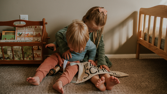 Our 2026-2027 Homeschool Plan: Learning Through Living Stories