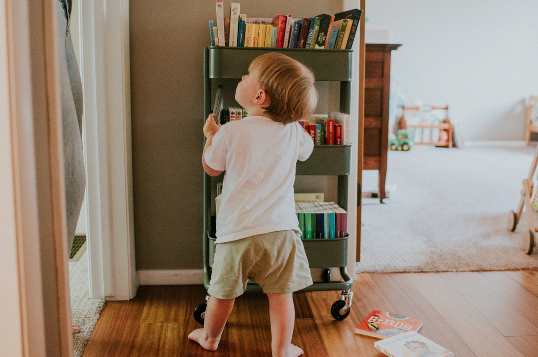 Exploring God’s World: 5 Information Books Our Toddlers Have Loved