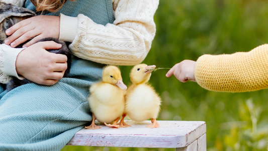 2025 Spring Bucket List