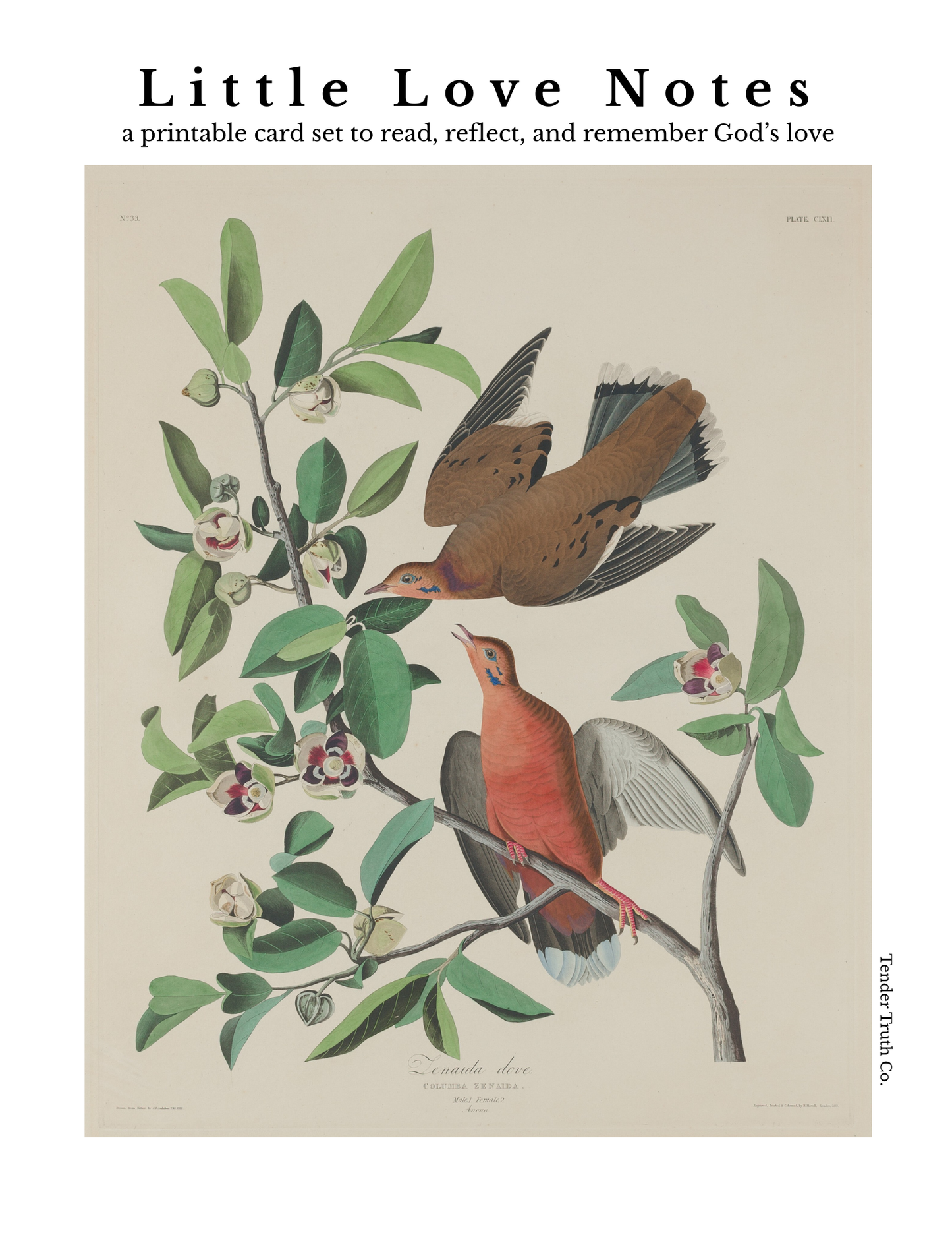 Little Love Notes | Set of 24 Printable Scripture & Quote Cards | Digital Download