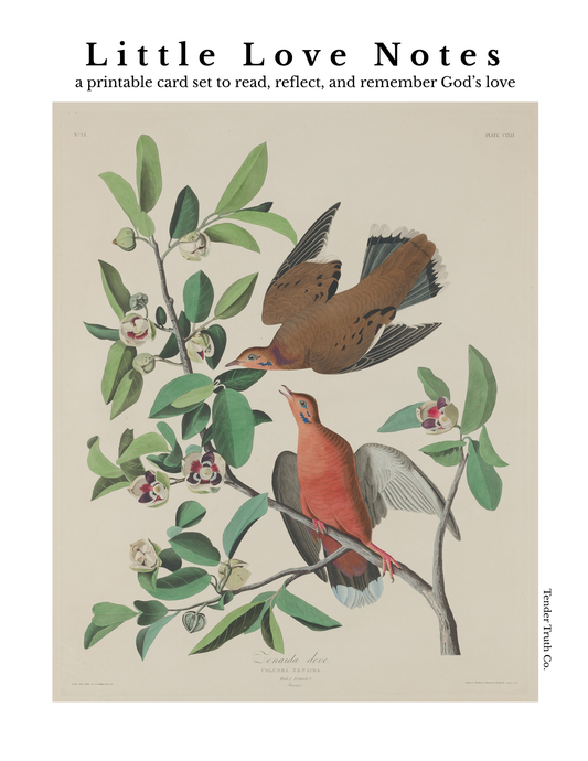 Little Love Notes | Set of 24 Printable Scripture & Quote Cards | Digital Download